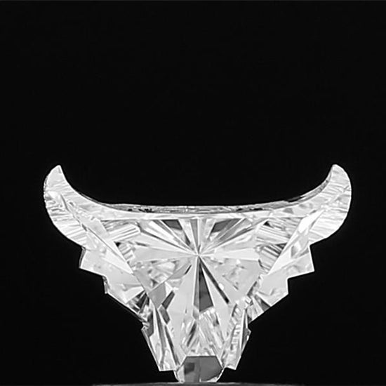 A dynamic 360-degree video tour showcasing the unique angles and mesmerizing sparkle of a truly rare Bull Face lab grown diamond.